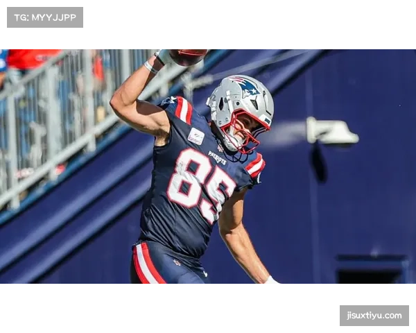 爱国者击败布朗 梅耶传球达阵率队取六连胜